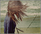 139.gif