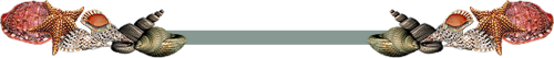 141.png