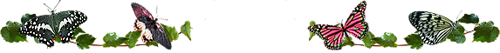 147.png