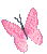 153.gif