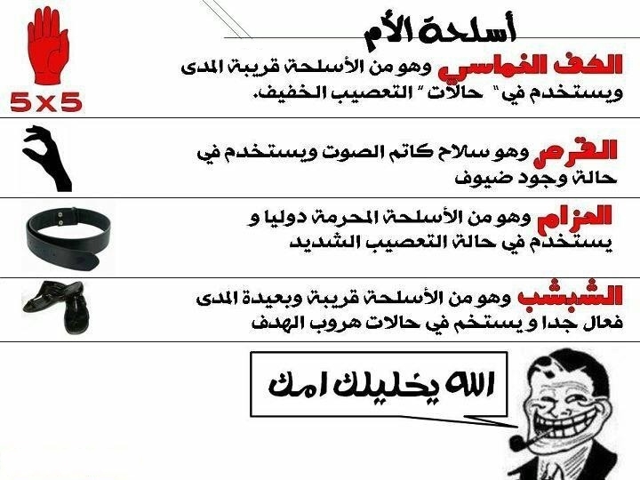 224.jpg