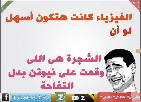 230.jpg
