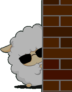 43.gif