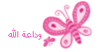 6.gif