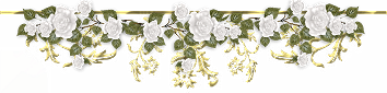 81.png