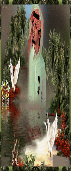 23.gif
