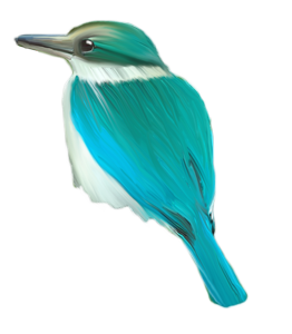 34.png
