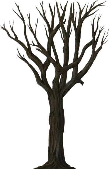 38.png