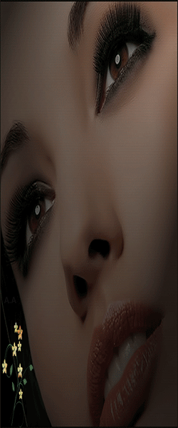 5.gif
