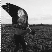 55.gif