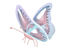 66.png