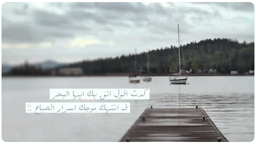 87.gif