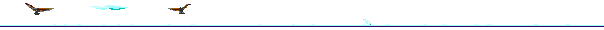 13.gif
