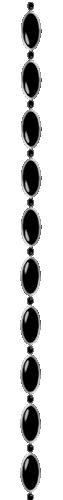 29.gif