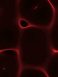 10.gif