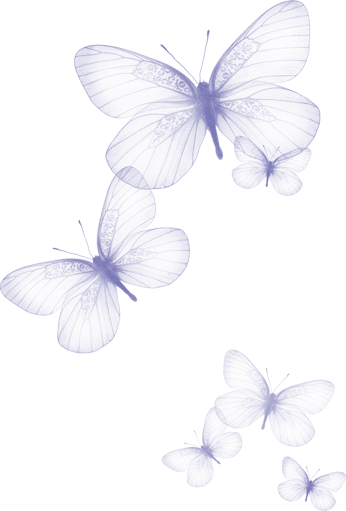 19.png