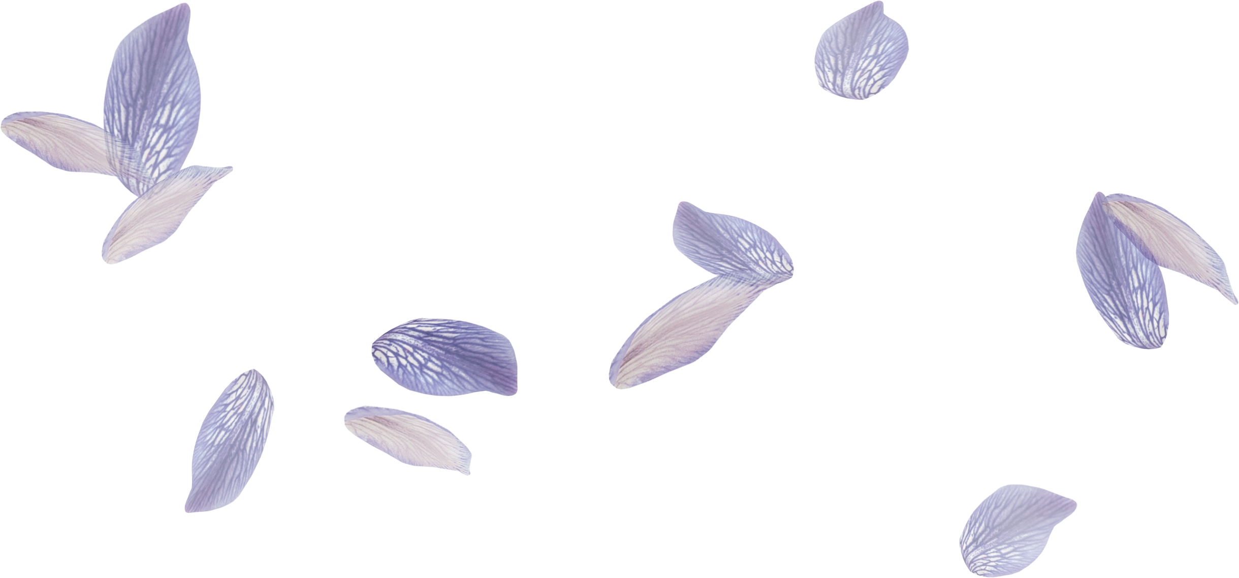 26.png