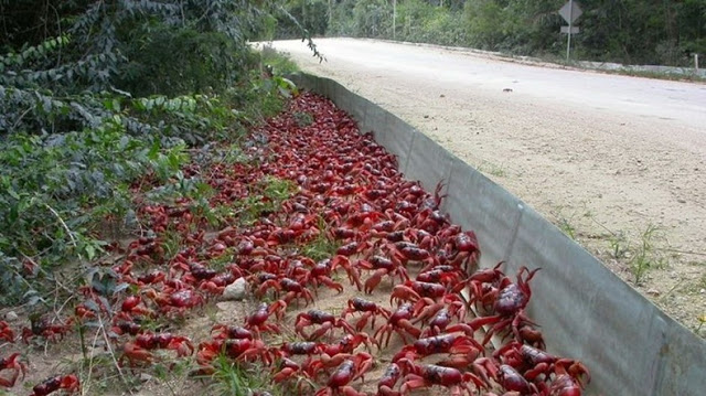 279.jpg