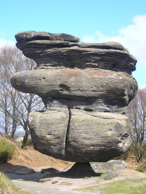 289.jpg