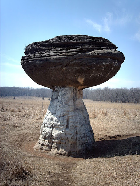 290.jpg
